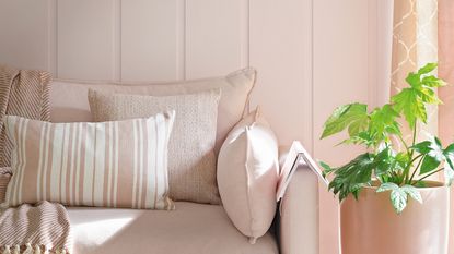 Pink sofa beside pink plant pot in front of pink panelled wall
