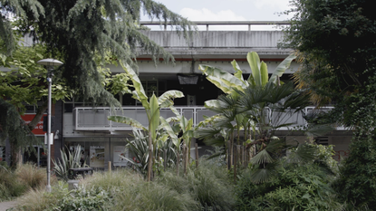 Modernist building peaking through foliage in London