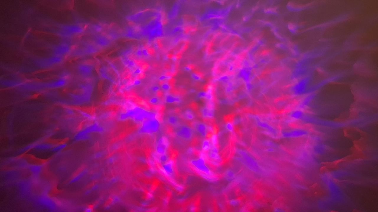 Seklin Galaxy Projector