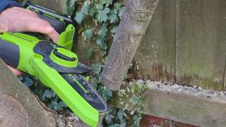 The Greenworks 24V 6" Brushless Pruning Saw, cutting a thick tree branch.