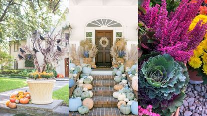 Fall planter ideas in three homes, including a small tree, pots of dried flowers and cabbage