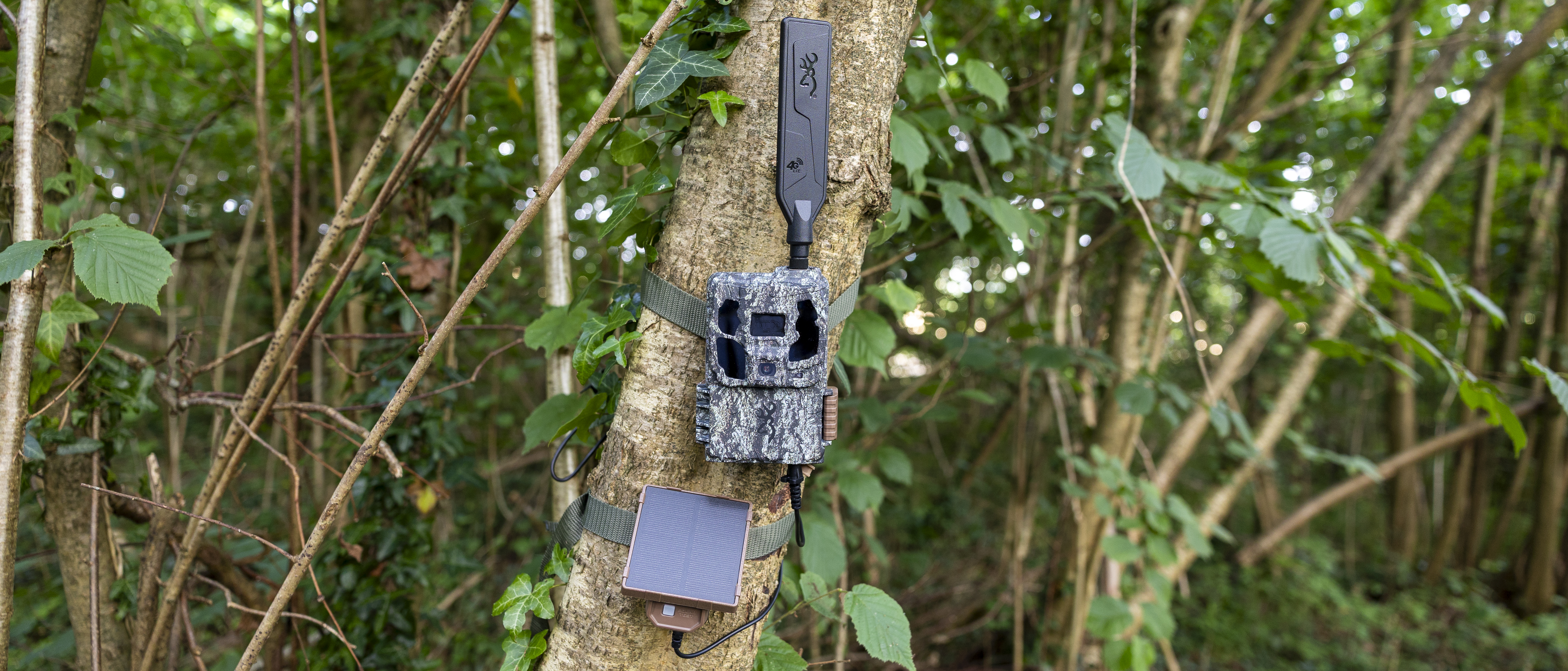 The Browning Defender Pro Scout Max Solar trail camera attached to a tree in a woodland