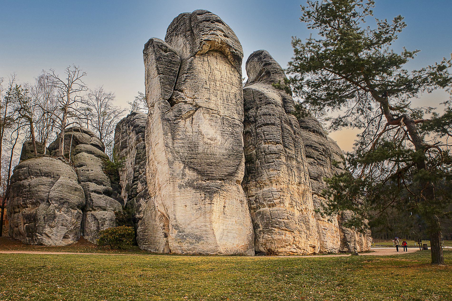 GuruShots - February 2026