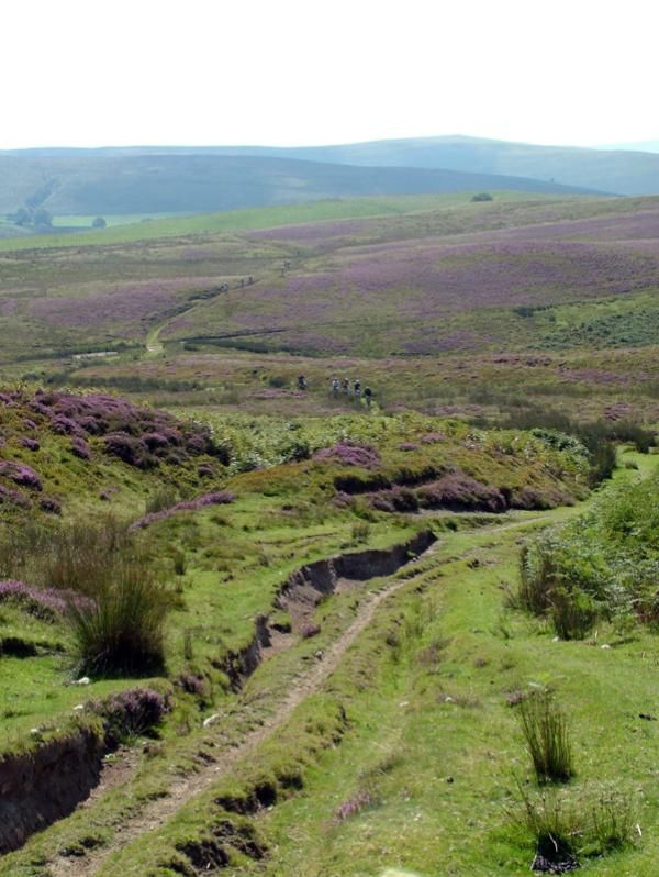 Some stirring landscape is on show at the TransWales