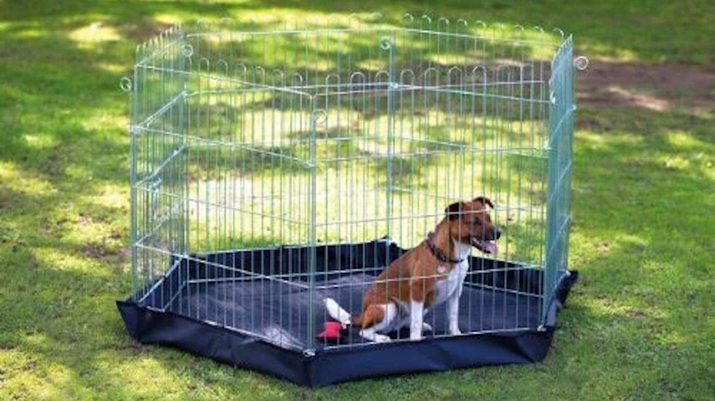 Best play pens for dogs