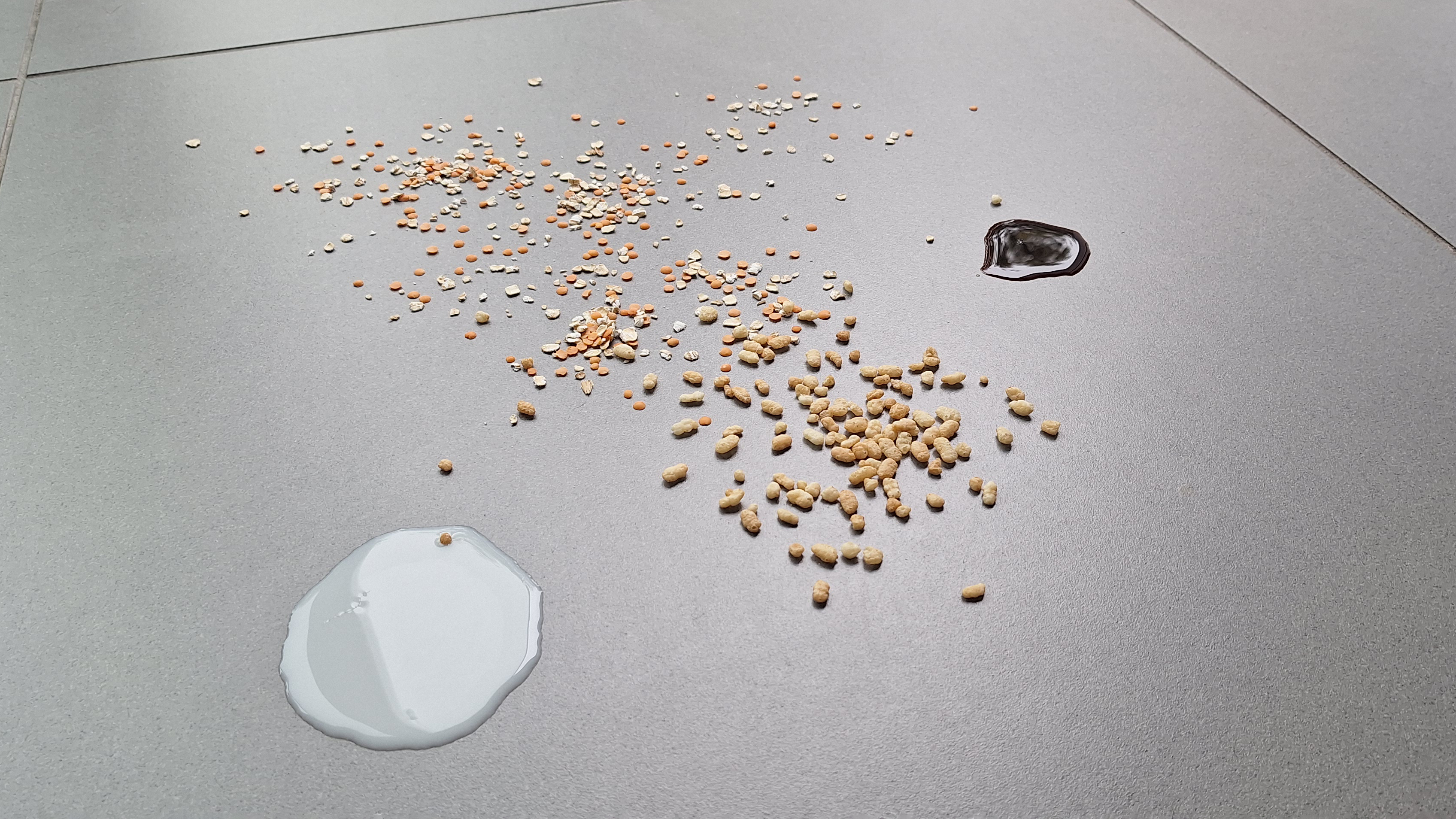 Oats, lentils, rice cereal, soy sauce and soy milk on a tiled floor