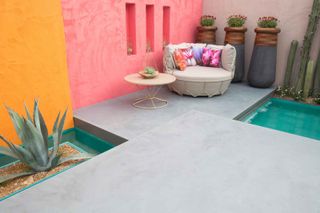 cacti in sunny courtyard with brightly colored walls and a pool of water