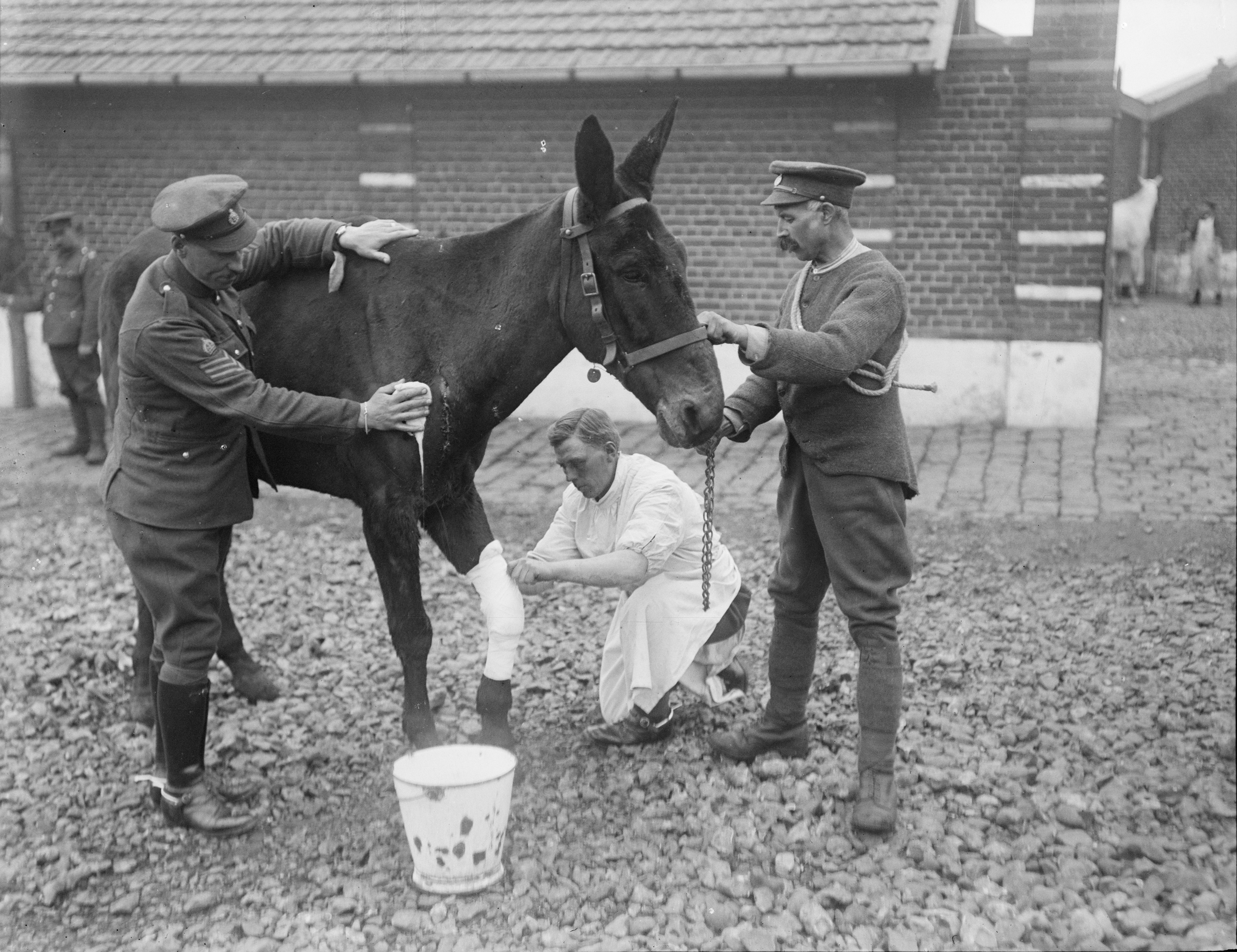 Crown-Copyright.-IWM-2.jpg