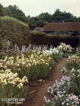 Gertrude Jekyll's garden at Munstead Wood - photographed in 1912 (©Country Life Picture Library)