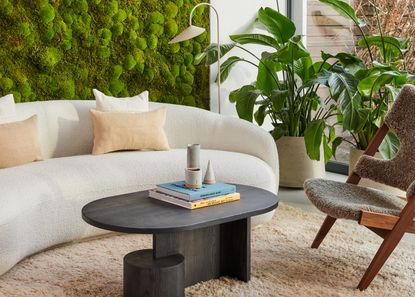 A living room with high pile rug and living wall
