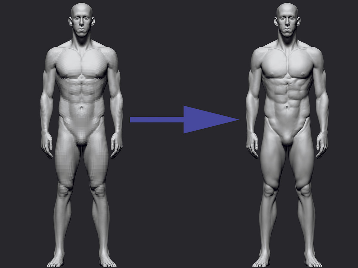 ZBrush tutorials: Sculpt realistic anatomy
