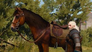 Roach in The Witcher 3: Wild Hunt