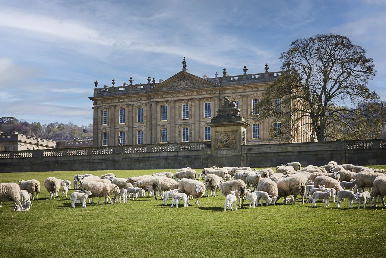 Woolroom offers duvets, pillows and mattresses made from wool shorn from flocks at Chatsworth, Derbyshire.