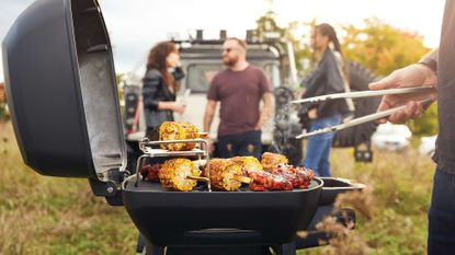 jug område Foto Best portable barbecue 2023: take your choice from gas, charcoal, pellets  or electric | T3
