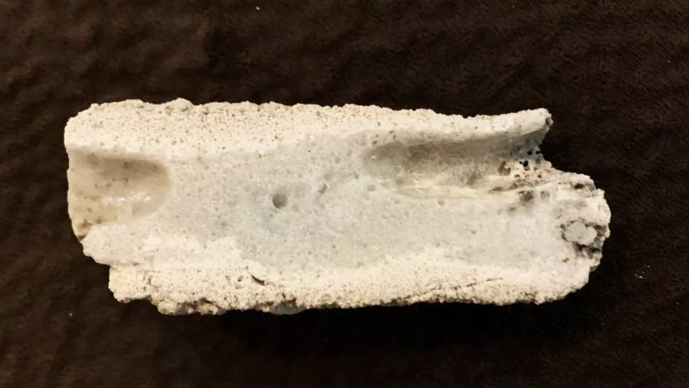 A small, whitish specimen of the fulgurite against a dark background. Fulgurite is fused sand from lightning or a downed power line.