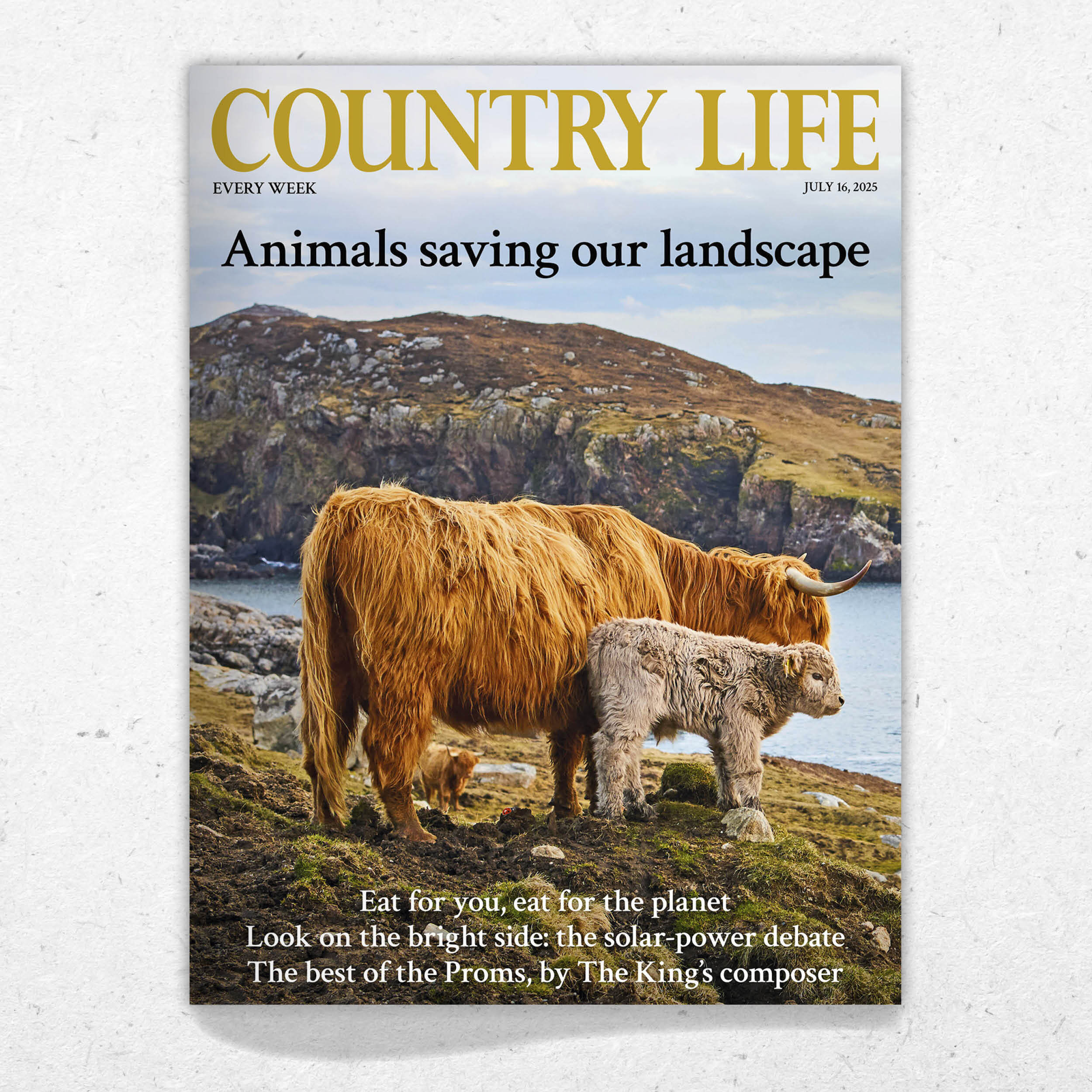 Cover of Country Life 16 July 2025 