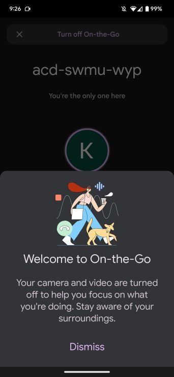Google Meet on the go mode interface
