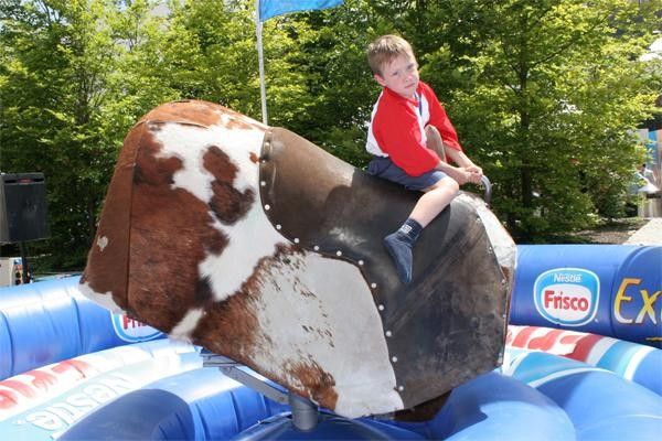 Hang on! A young spectator tries out a more difficult mount
