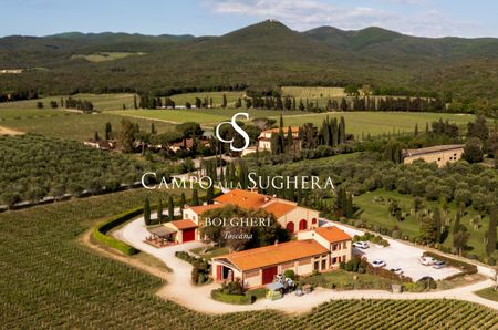 Campo alla Sughera winery surrounded by vines, with the winery's logo over the top 