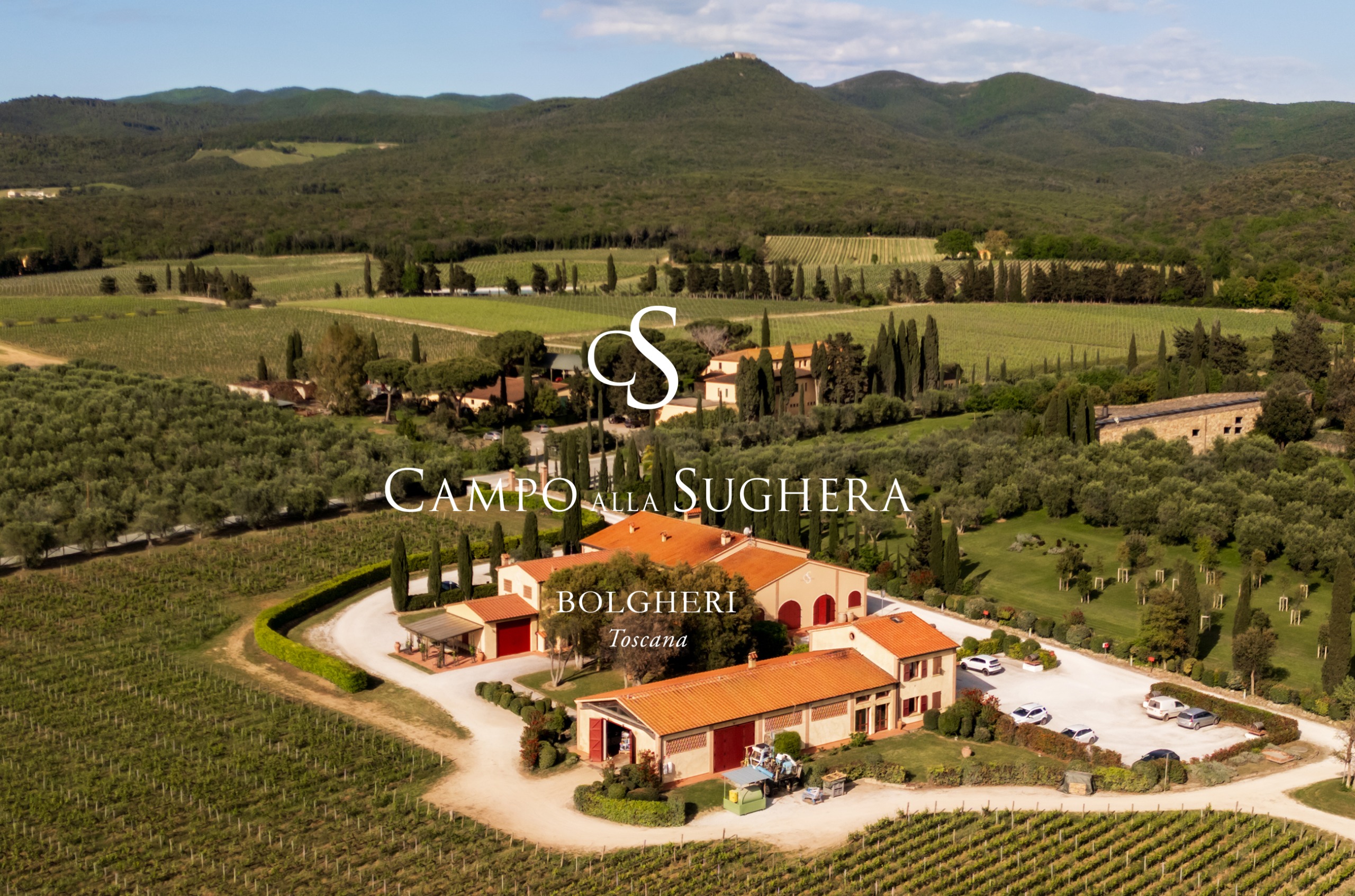 Campo alla Sughera winery surrounded by vines, with the winery's logo over the top 