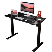 Flexispot Electric Standing Desk with adjustable height: $199.99