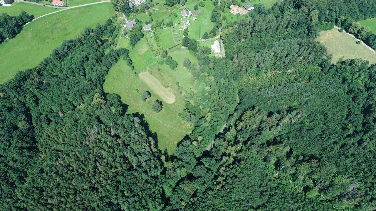The ancient weapons were found among rocks on a forested hillside in the Czech Republic's eastern Jesenicko region by a man out looking for mushrooms.