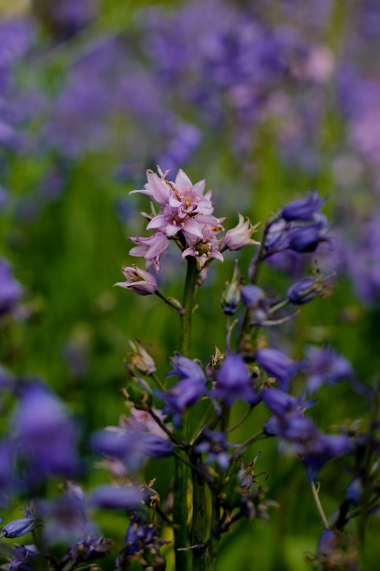 A photo taken on a Leica SL3-S mirrorless camera