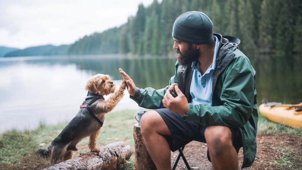 Fun outdoor activities with pets to try whatever the weather