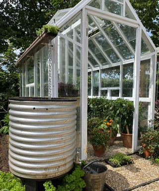 rain chain and metal water butt beside open greenhouse with potted plants