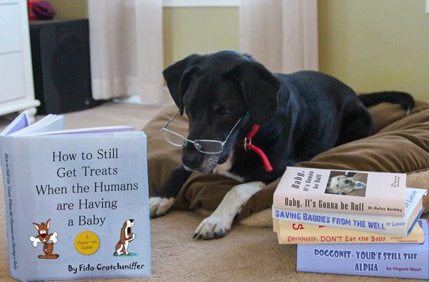 Pregnancy announcements ideas