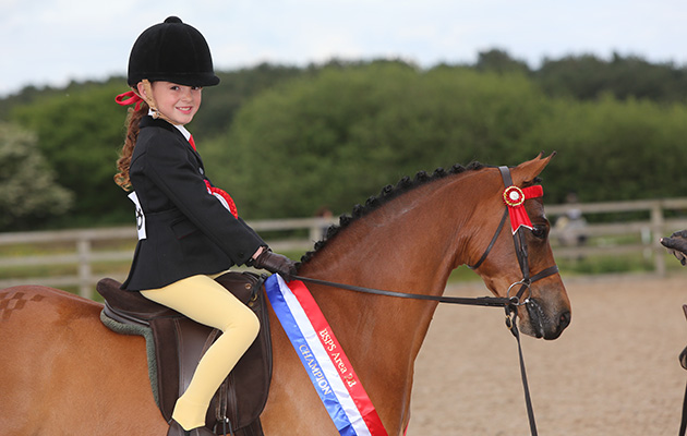 mini show pony champion178Chaseford ActorR: Megan Gilbert
