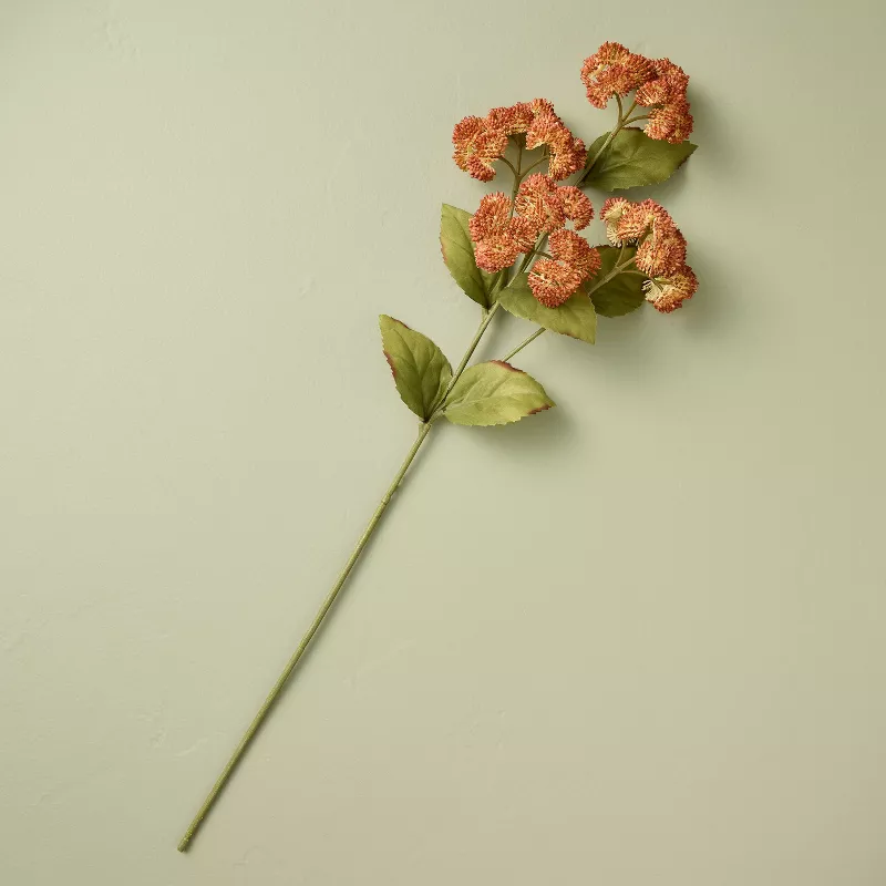 25" Orange Sedum Artificial Stem - Hearth & Hand™ With Magnolia