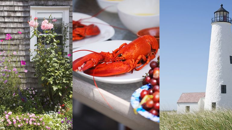 Lobster, Red, Seafood, Decapoda, Crustacean, Food, Homarus, Crayfish, Photography, Invertebrate, 