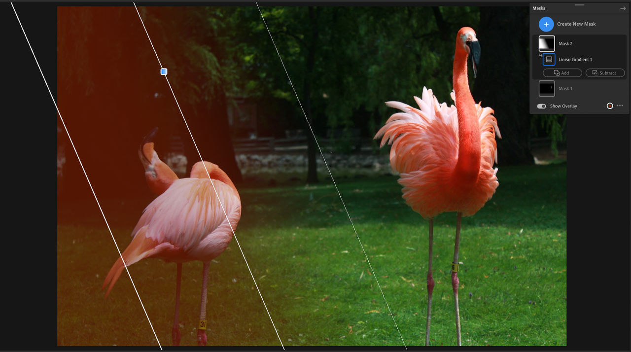 Adobe Lightroom shot of a flamingo within Lightroom