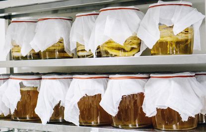 Is a shelf really a shelf unless it has some home-made Kombucha on it? (Okay, probably it is.)