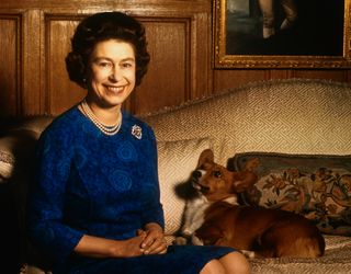 Britain's Queen Elizabeth II smiles radiantly during a picture-taking session in the salon at Sandringham House. Her pet dog looks up at her. These photos were taken in connection with the royal Family's planned tour of Australia and New Zealand.