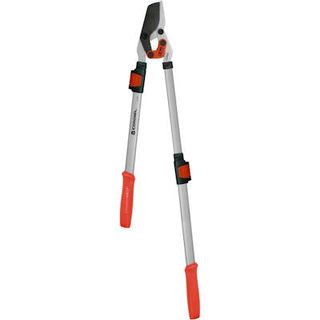 Extendable Bypass Loppers