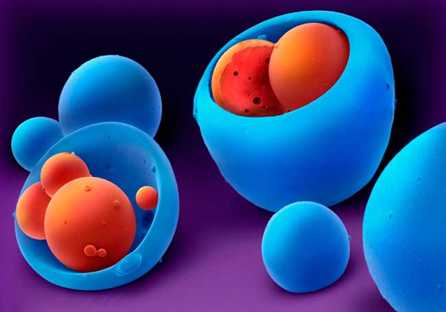 This image shows the synthetic polymers used to coat a drug, either to target the release of the drug in a specific part of the digestive tract or to allow the drug to be released slowly. Polymers play an important role in reducing side-effects of drugs,