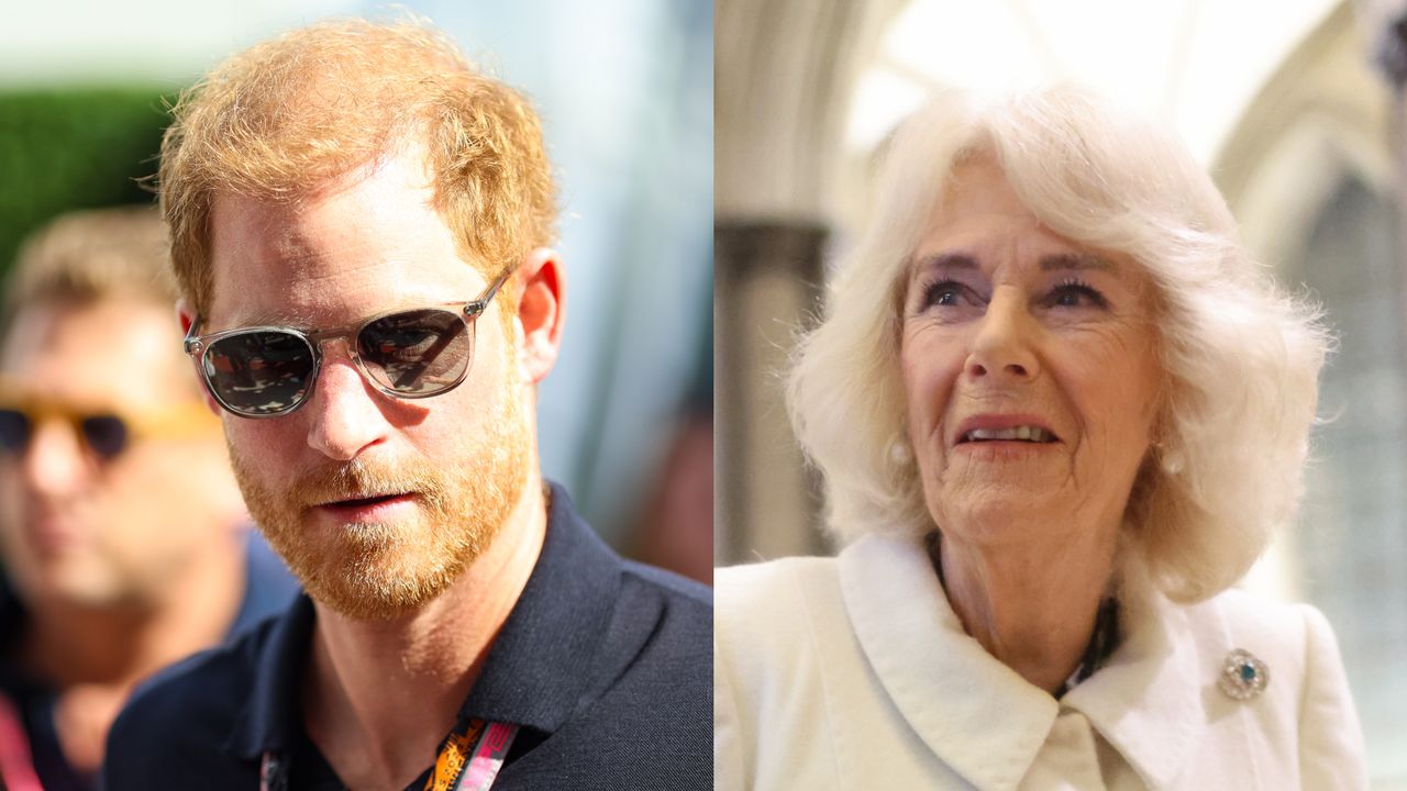 Prince Harry and Queen Camilla