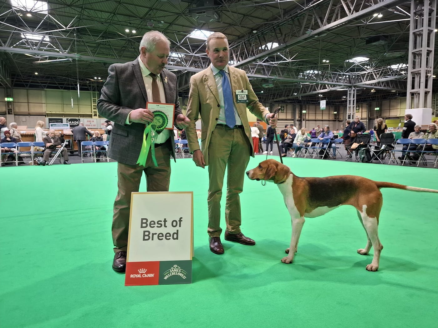 Robert-McCarthy-of-the-Percy-Hunt-with-Sparkle-awarded-Best-of-Breed-Crufts-2025.-Image-1-credit-Adrian-Dangar.jpg
