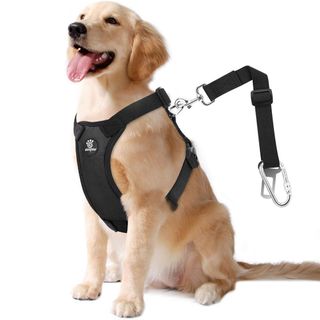 VavoPaw Dog Vehicle Safety Vest Harness