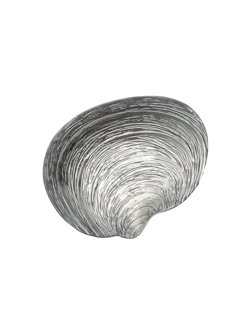 Specchio Shell Bowl in Silver