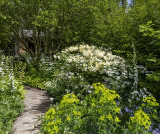 Show garden at RHS Chelsea Flower Show with flowers and trees