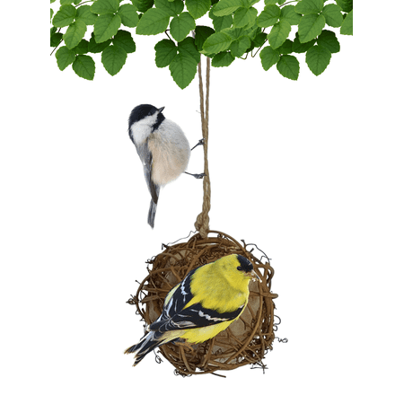 Circle Vine Nesting Ball With Nesting Material