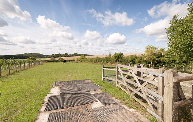 TheBarn24