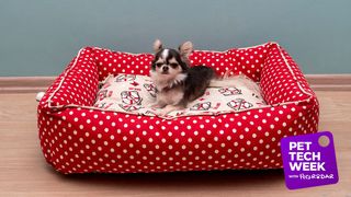 heated pet beds