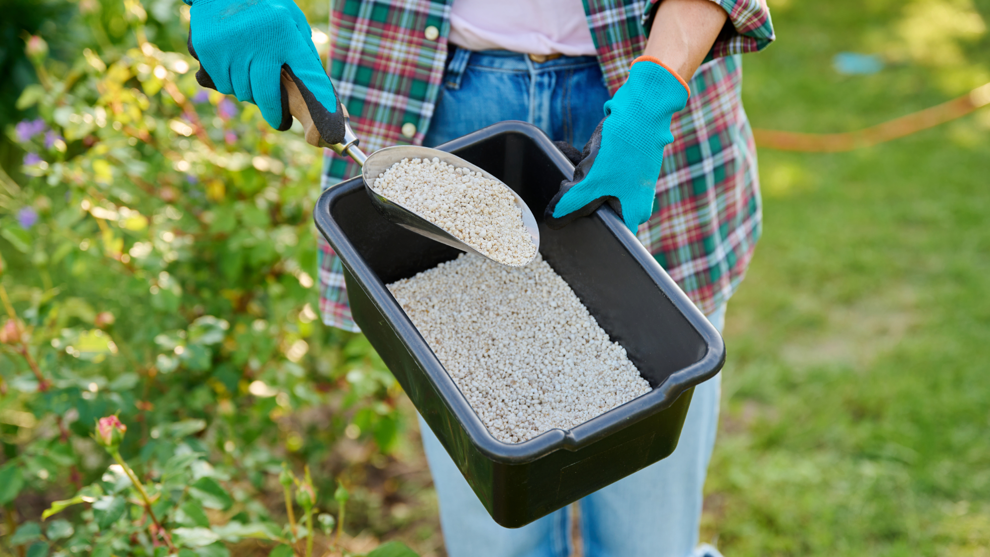 Woman holding fertilizer