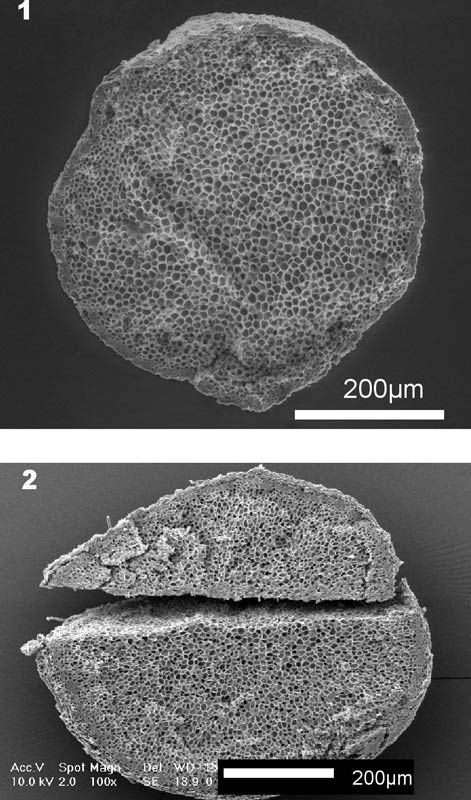 Debate Heats Up Over Meteor&#039;s Role in Ice Age