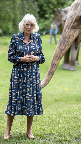 Queen Camilla in a feather-print dress