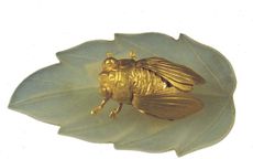 gold cicada